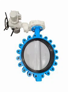 Big Size Lug Type Butterfly Valve