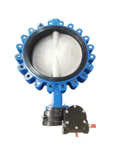 Big Size Lug Type Butterfly Valve